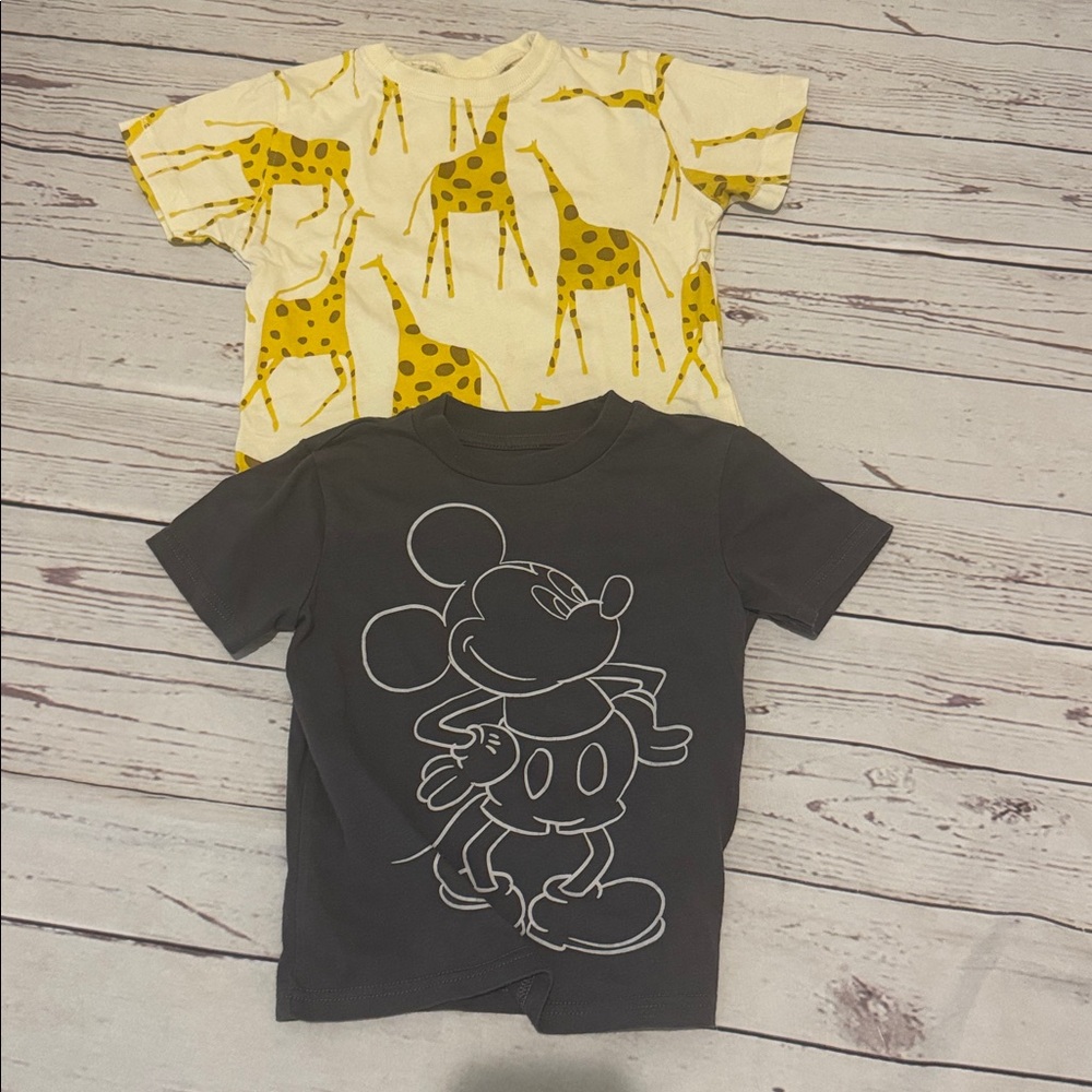 Two Short Sleeve Toddler Tees From Disney And Zara